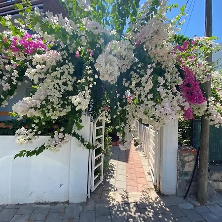 Lejlighed Beautiful Apart In Calis Area